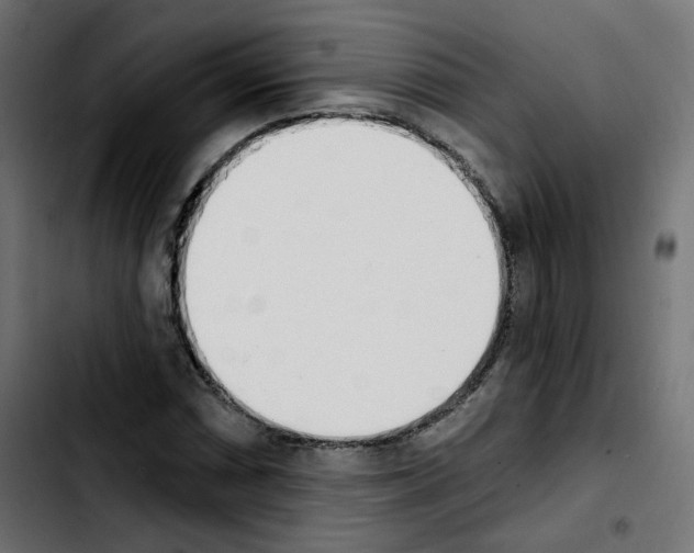 X0000103931066200810311512