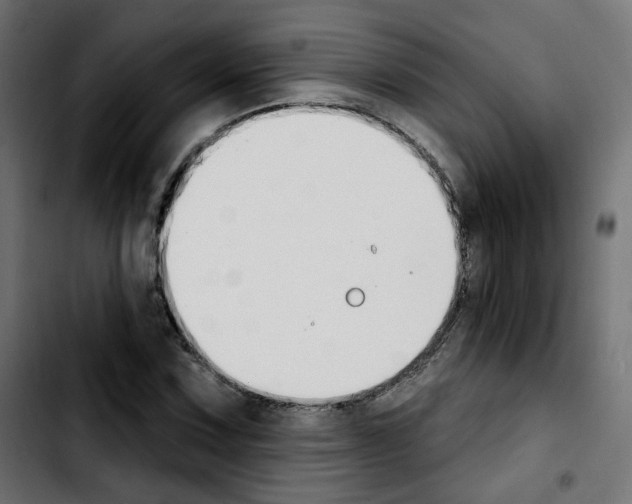 X0000103931067200810311512