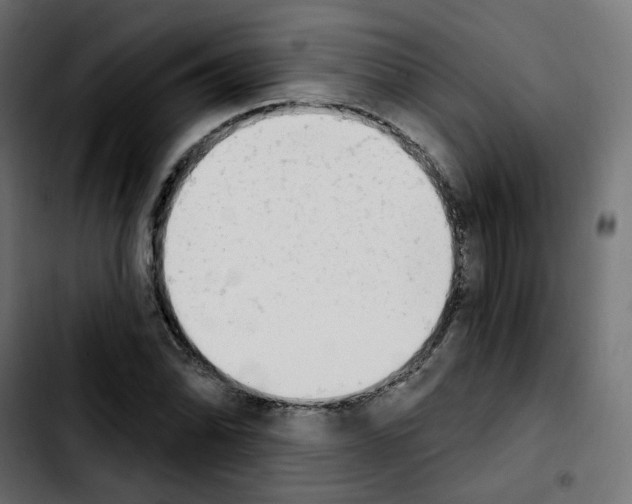 X0000103931070200810311512