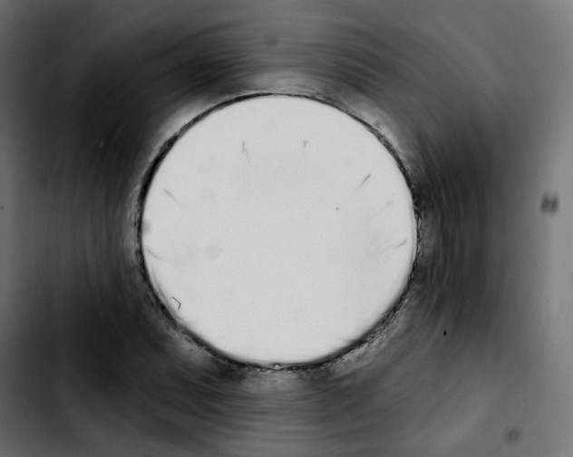 X0000103931071200810311512