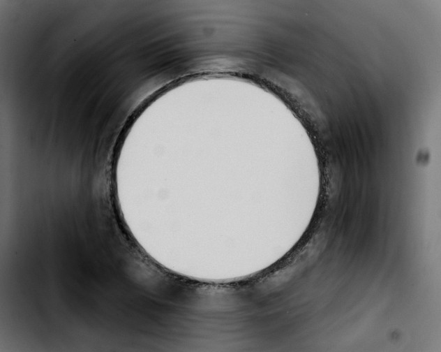 X0000103931073200810311512