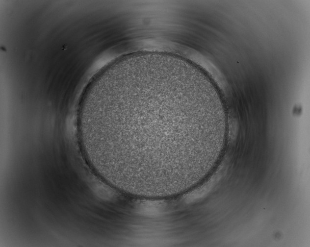 X0000103931074200810311512