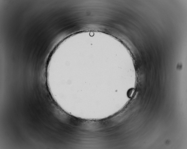 X0000103931075200810311512