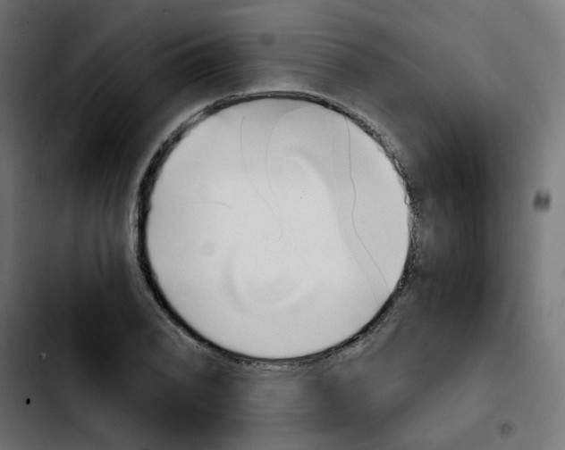 X0000103931076200810311512