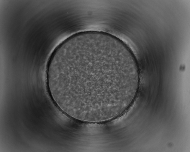 X0000103931077200810311512