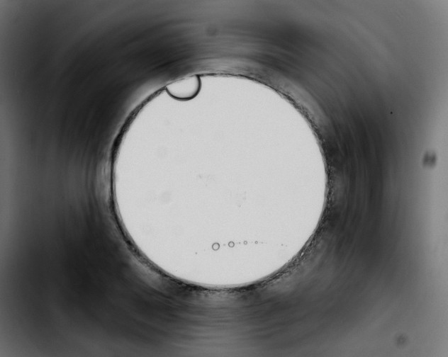 X0000103931079200810311512