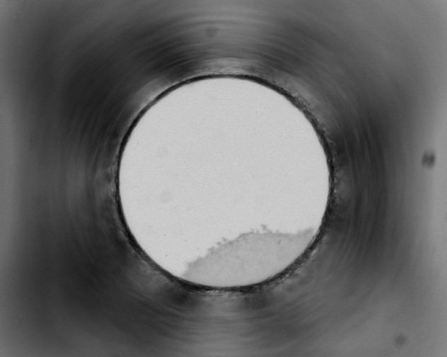 X0000103931081200810311512