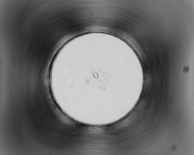 X0000103931082200810311512
