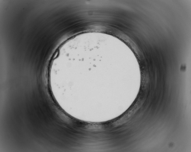 X0000103931083200810311512