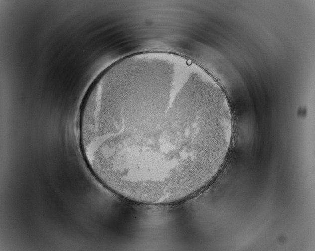 X0000103931084200810311512