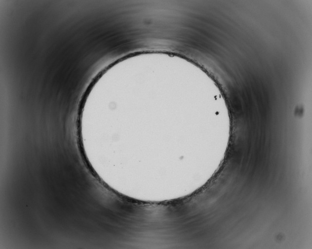 X0000103931085200810311512