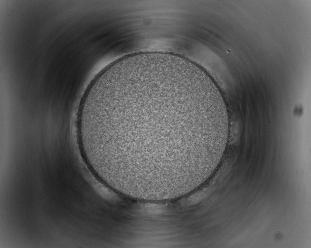 X0000103931086200810311512