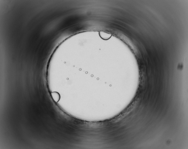 X0000103931087200810311512