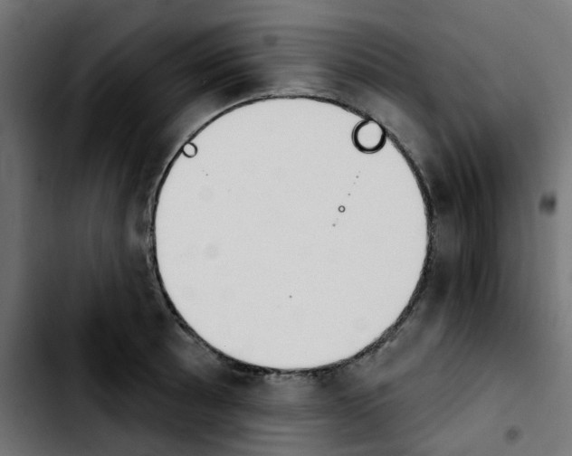 X0000103931089200810311512