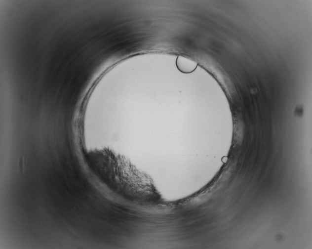 X0000103931091200810311512