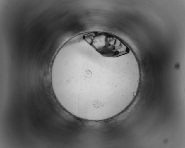X0000103931097200810311512