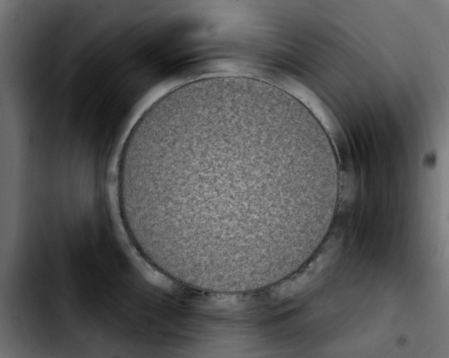 X0000103931098200810311512