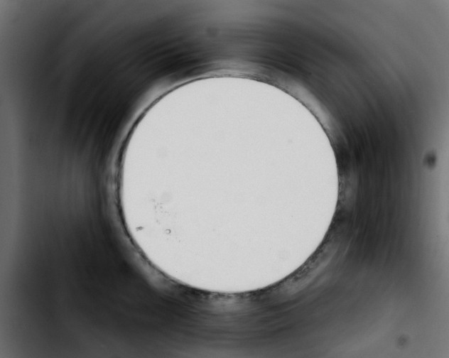 X0000103931099200810311512