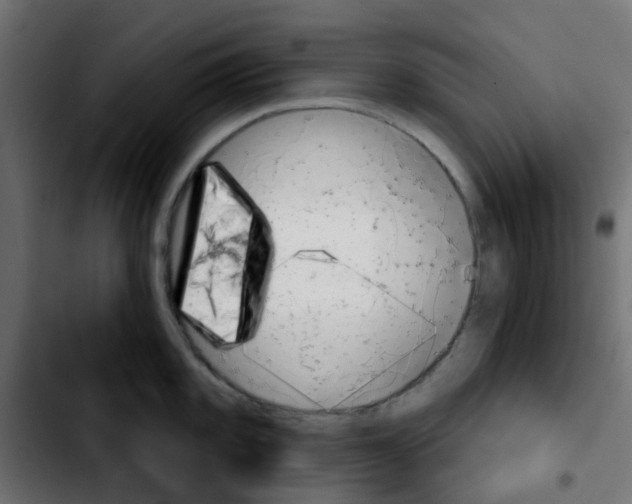 X0000103931101200810311512