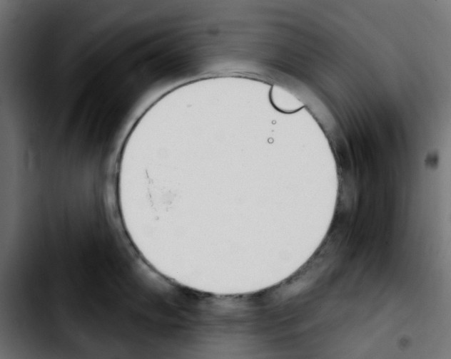 X0000103931102200810311512