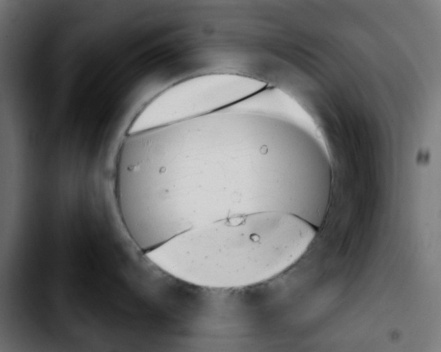 X0000103931104200810311511