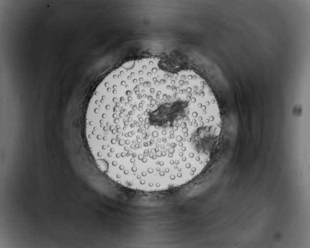 X0000103931105200810311511