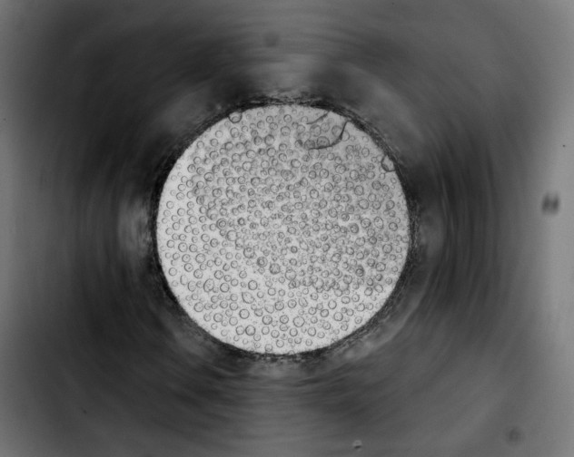X0000103931106200810311511
