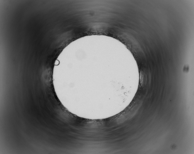 X0000103931107200810311511