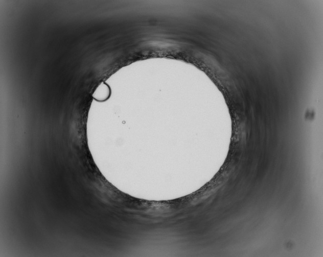 X0000103931109200810311511