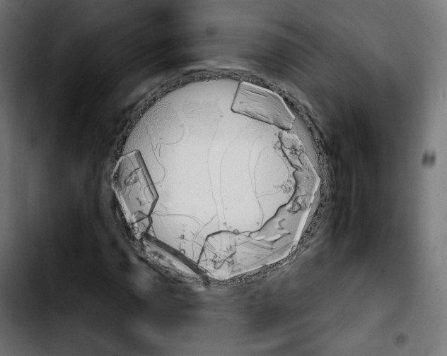 X0000103931110200810311511