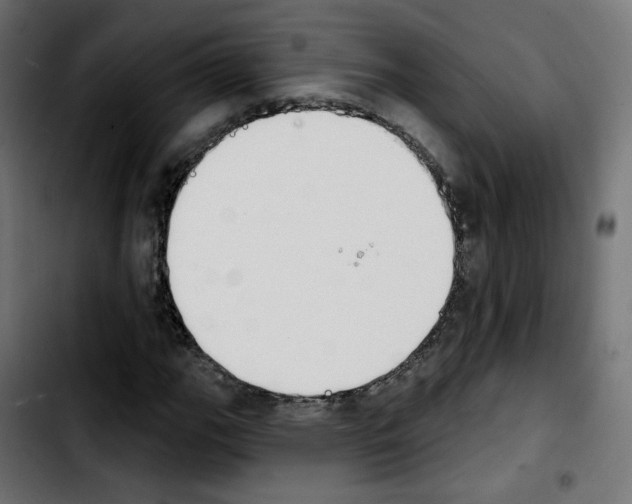 X0000103931111200810311511