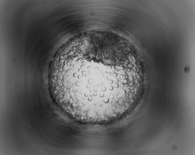 X0000103931113200810311511