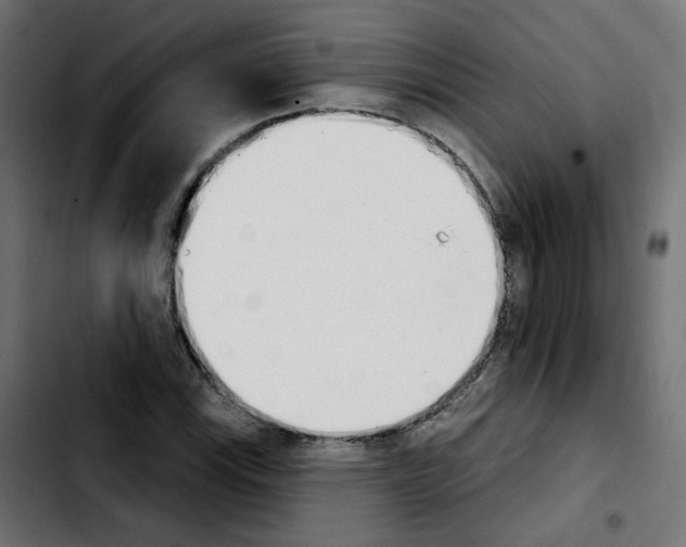 X0000103931115200810311511
