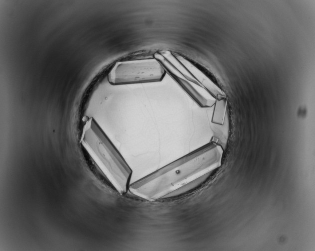 X0000103931116200810311511