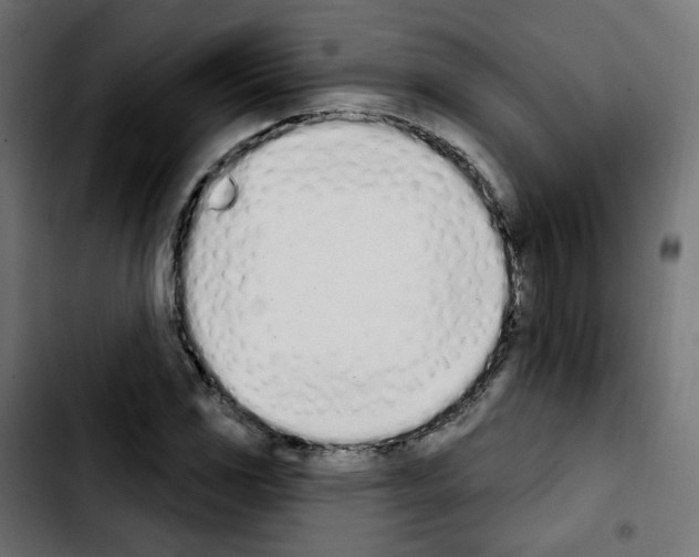 X0000103931117200810311511