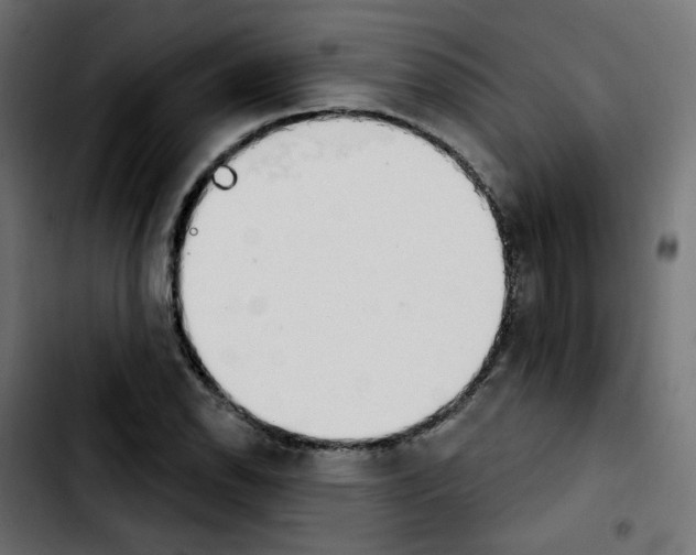 X0000103931118200810311511