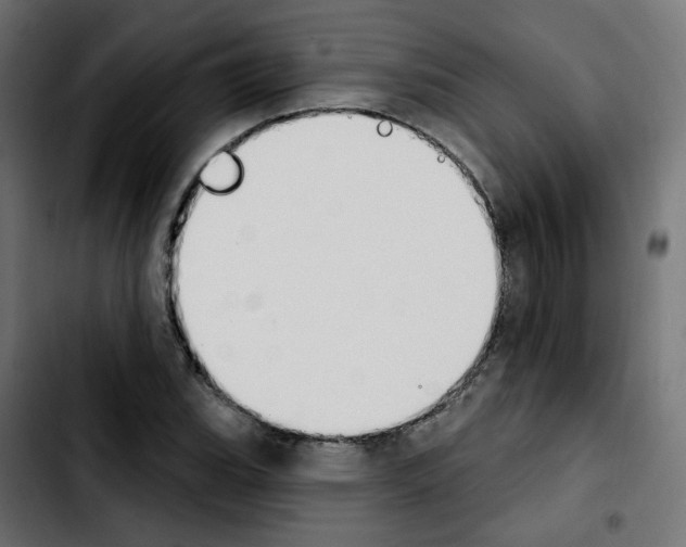 X0000103931119200810311511