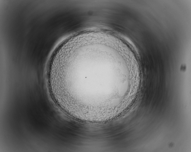 X0000103931122200810311511