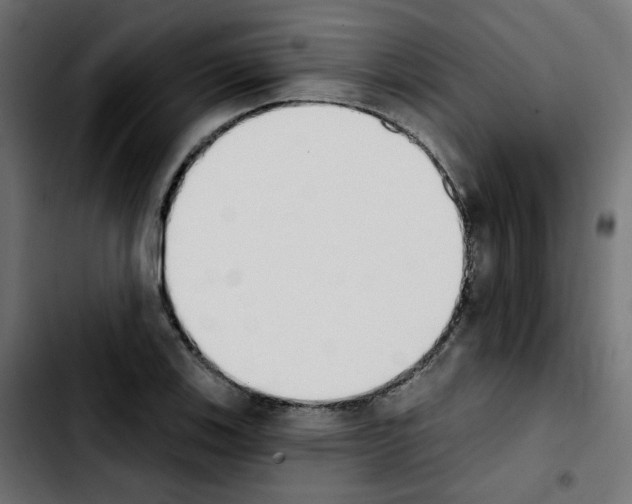 X0000103931123200810311511