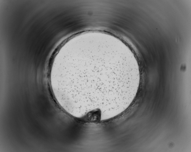 X0000103931124200810311511