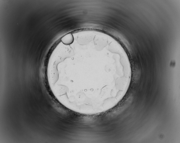 X0000103931125200810311511