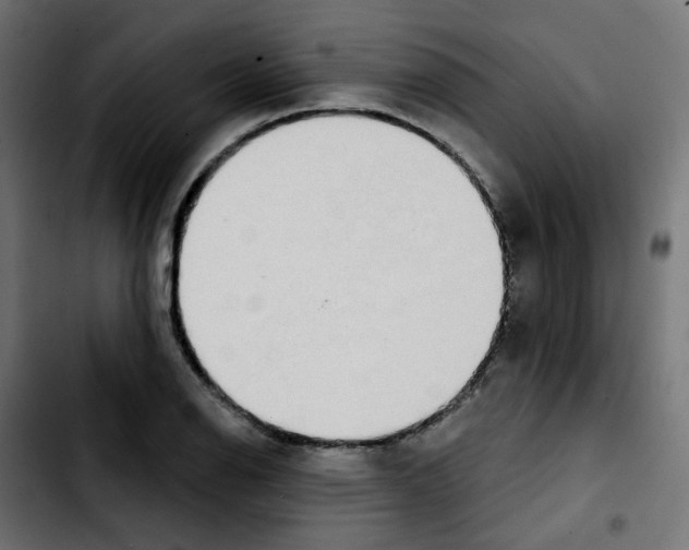 X0000103931126200810311511