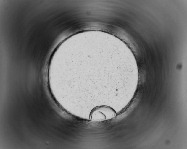 X0000103931130200810311511