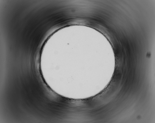 X0000103931131200810311511
