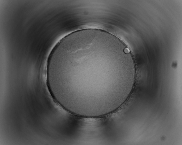X0000103931132200810311511