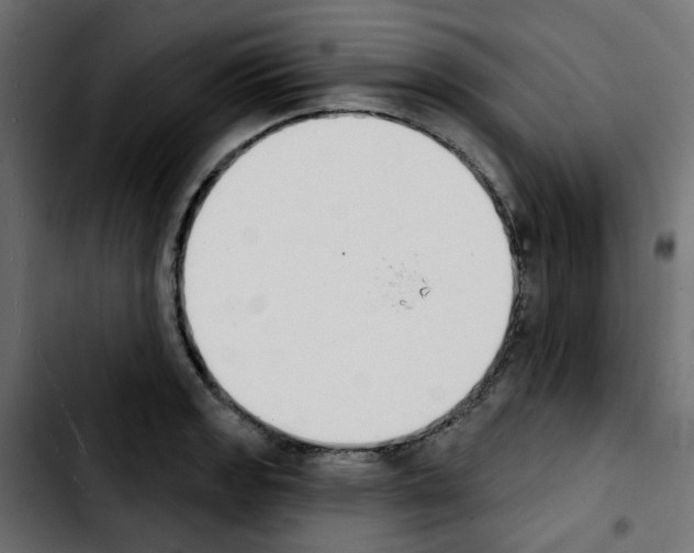 X0000103931133200810311511