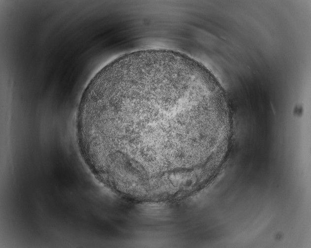 X0000103931134200810311511