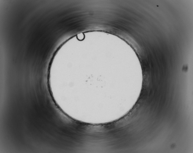 X0000103931135200810311511