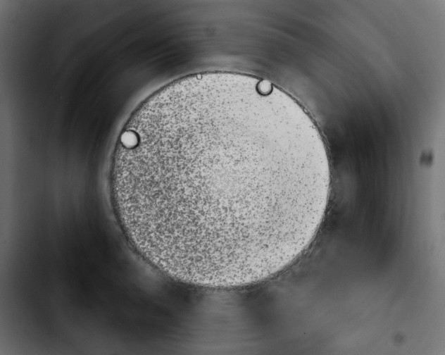X0000103931136200810311511