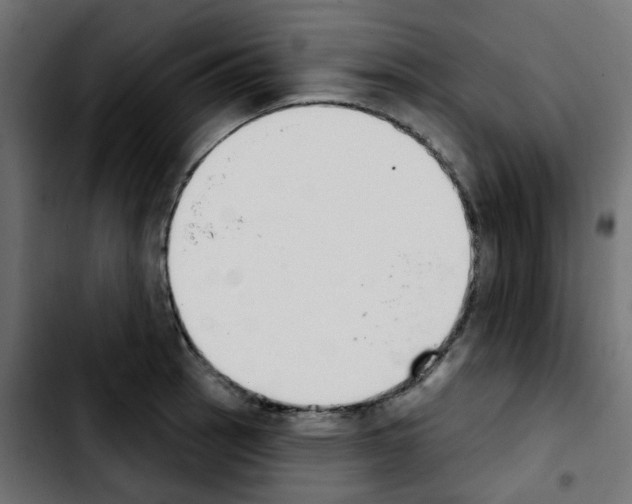 X0000103931137200810311511